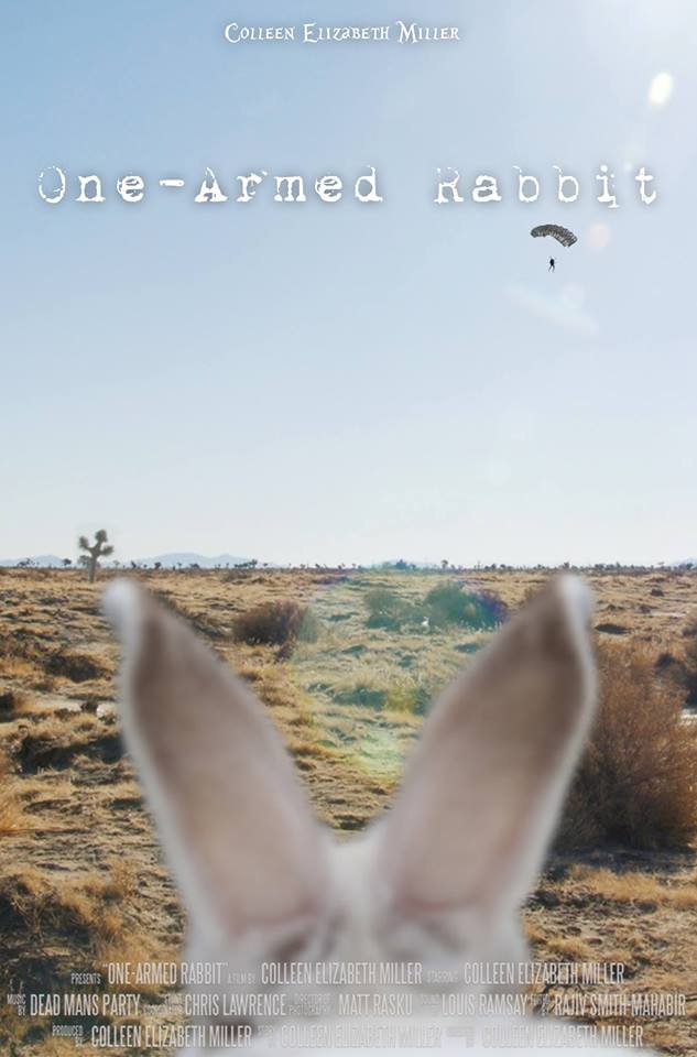 One-Armed Rabbit poster